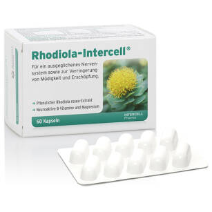 Rhodiola-Intercell 60kaps Różeniec Górski 